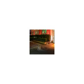 Lámpara Led De Sobreponer En Muro 6.23 W 100-130 V~ Illux ML-7406
