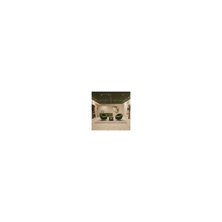 Riel De Sobreponer En Techo 2 M 100-277 V~ The Collection TL-4000